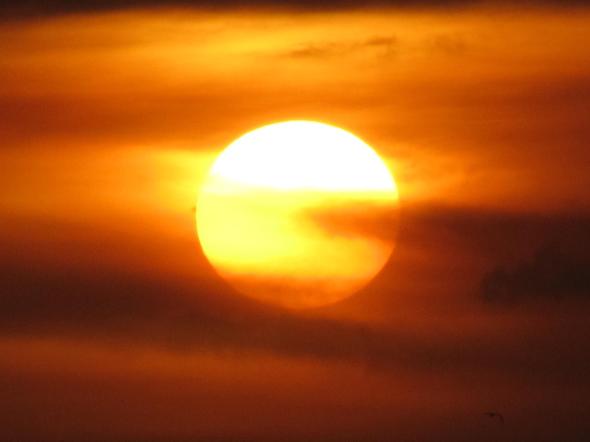 287163_242051535847852_237133646_o