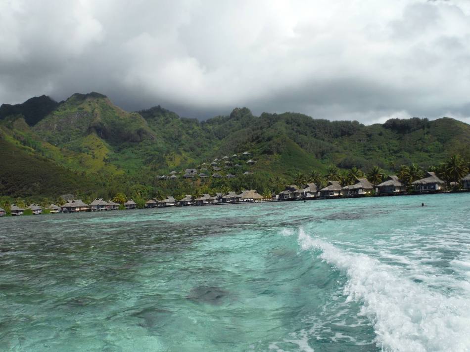 10271247_10152727740859245_6834090710874341946_o