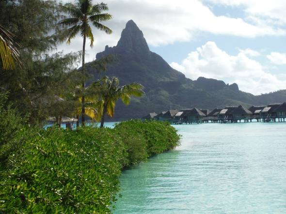 1534752_10152743779294245_6115930321171314737_o